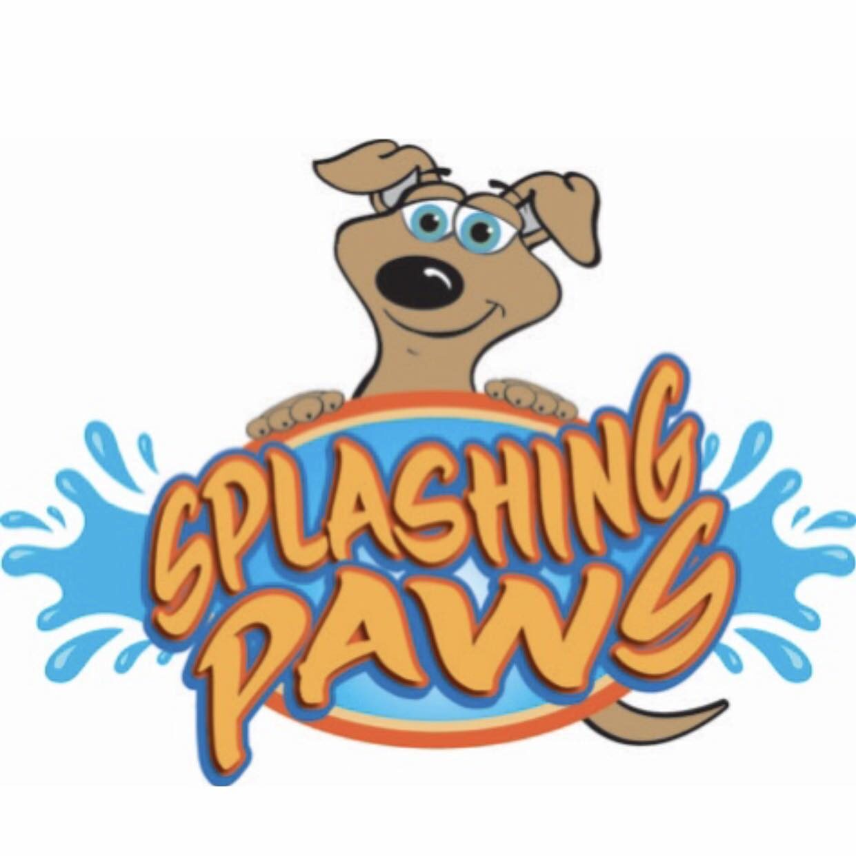 Splashing Paws